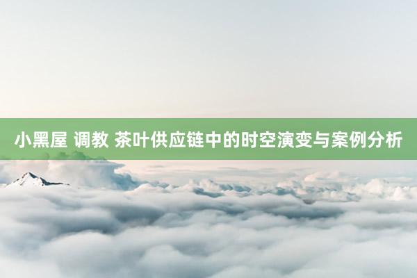 小黑屋 调教 茶叶供应链中的时空演变与案例分析