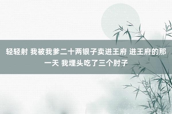 轻轻射 我被我爹二十两银子卖进王府 进王府的那一天 我埋头吃了三个肘子