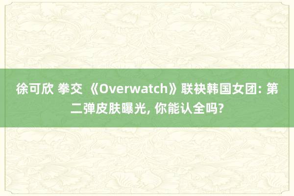 徐可欣 拳交 《Overwatch》联袂韩国女团: 第二弹皮肤曝光， 你能认全吗?