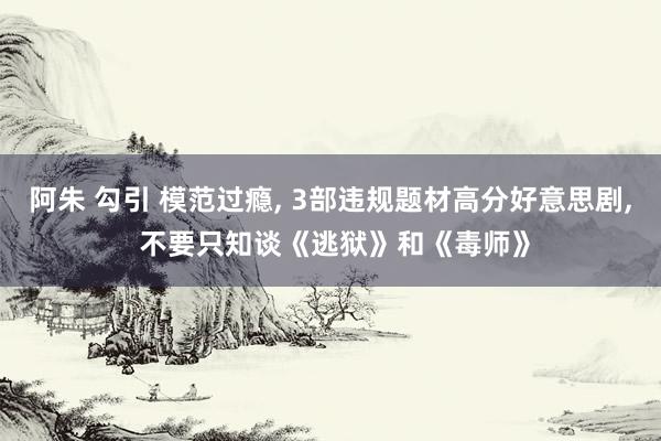 阿朱 勾引 模范过瘾， 3部违规题材高分好意思剧， 不要只知谈《逃狱》和《毒师》