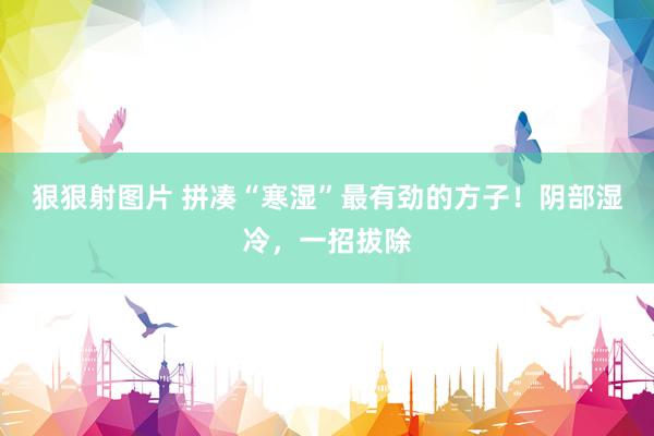 狠狠射图片 拼凑“寒湿”最有劲的方子！阴部湿冷，一招拔除
