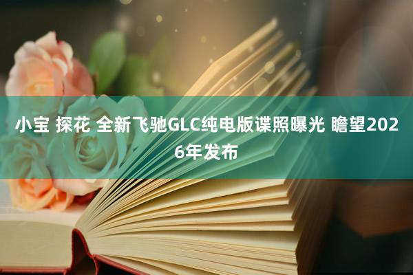 小宝 探花 全新飞驰GLC纯电版谍照曝光 瞻望2026年发布