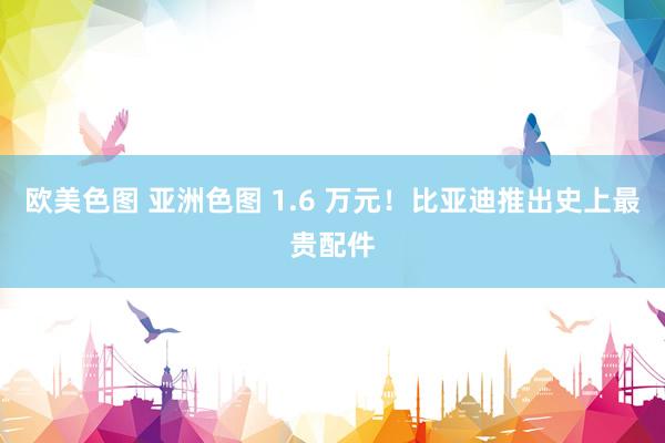 欧美色图 亚洲色图 1.6 万元！比亚迪推出史上最贵配件